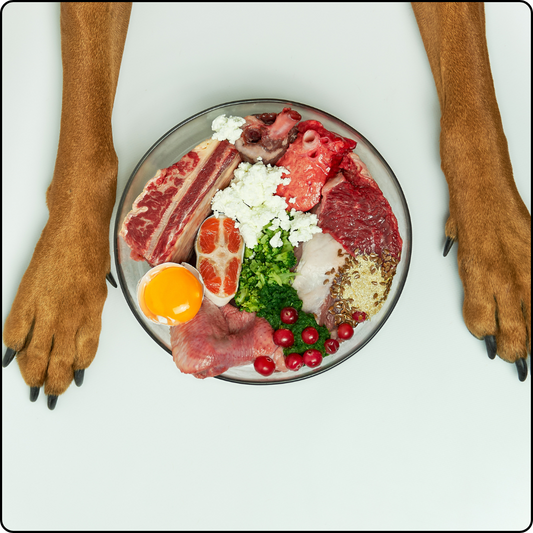 Dog nutrition