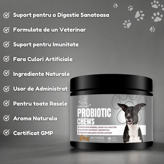 Probiotic Chews Dogs