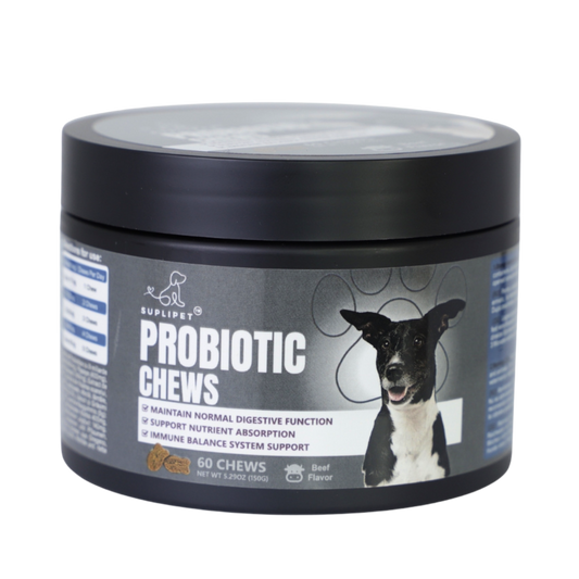 Probiotic Chews Dogs